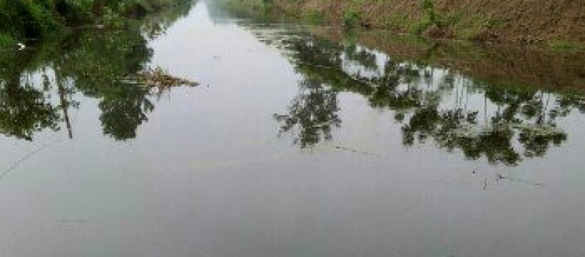 白马湖农场灌溉河照片