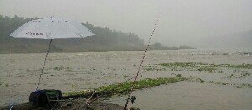 沱江河照片