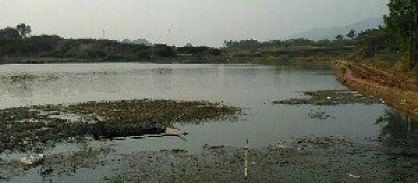 东莲塘莲湖钓鱼场照片
