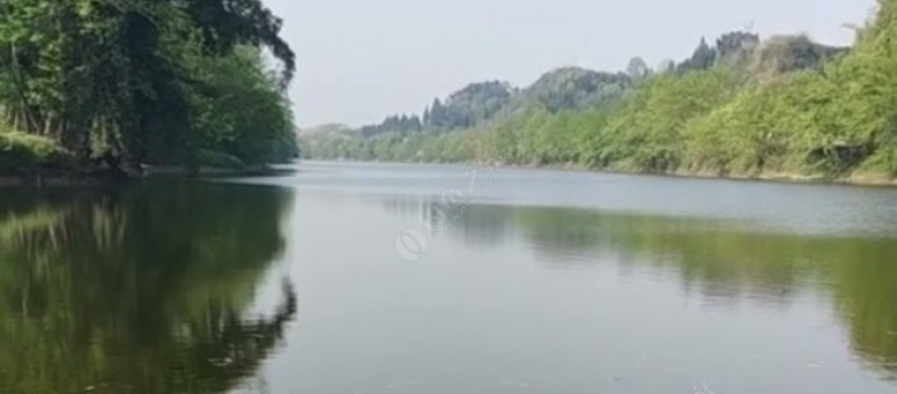 岳阳东湖渔业钓鱼基地照片