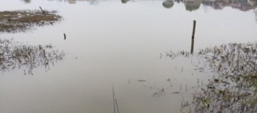 竹洞湖照片