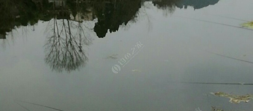 环溪河潮水段照片