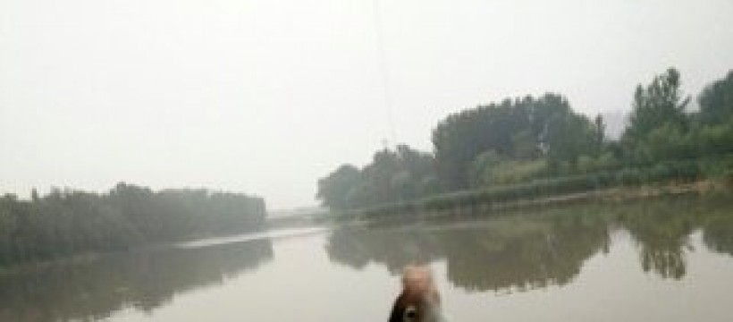 淮河上坝段照片