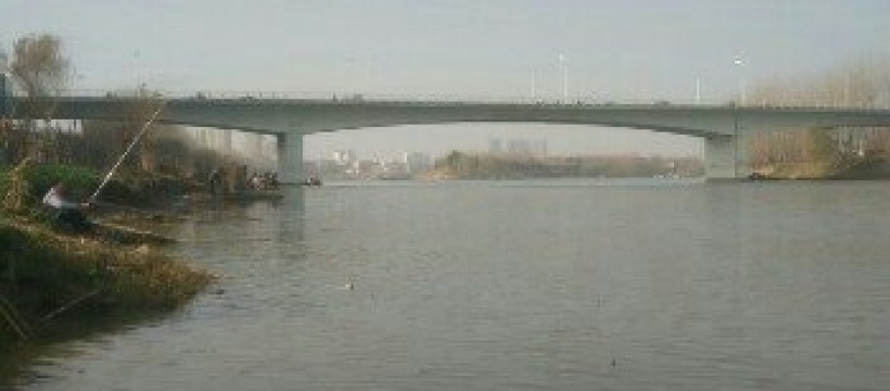 阜裕大桥沙河照片