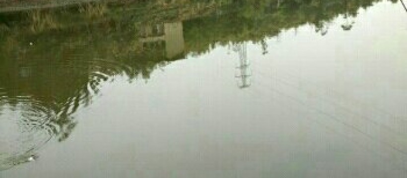 萍水河照片