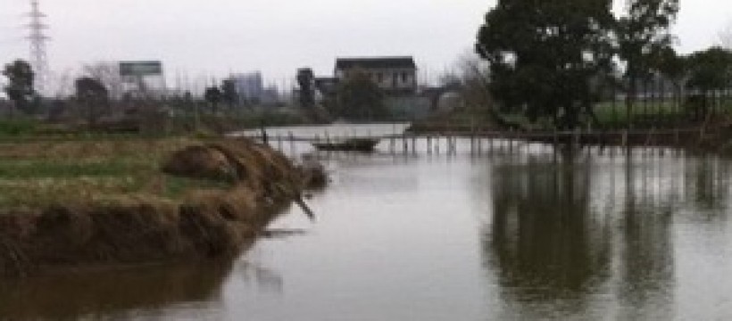 竹桥岛垂钓鱼场照片