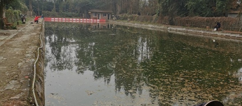 垂纶池休闲庄照片