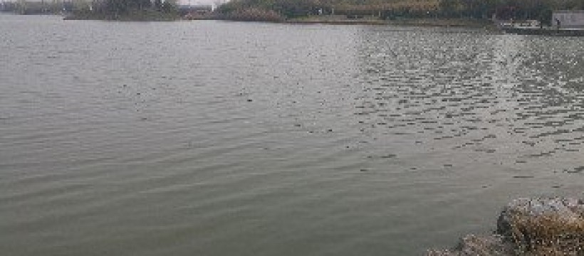 昭阳湖照片