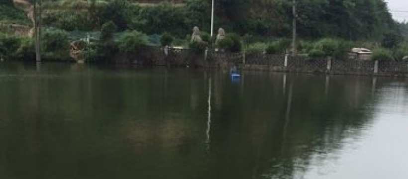 海山村钓鱼场照片