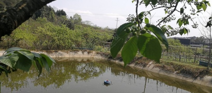 皂角树清水塘照片