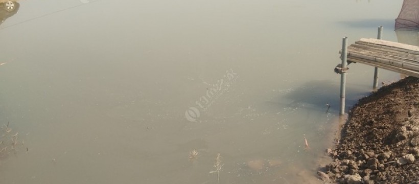 渭水河畔钓鱼台照片