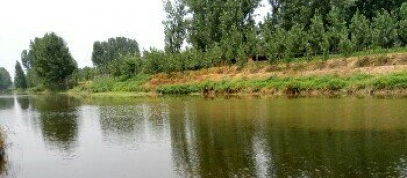 洪道河照片