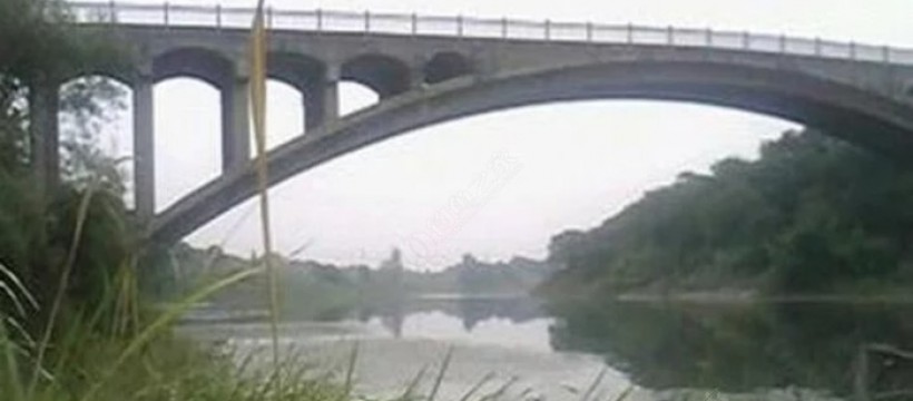 东长岭大桥新河照片