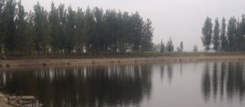 殷红渠河照片