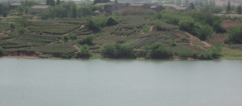 仙人湖水库照片