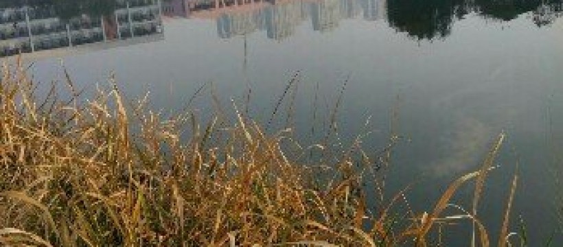 横塘河照片