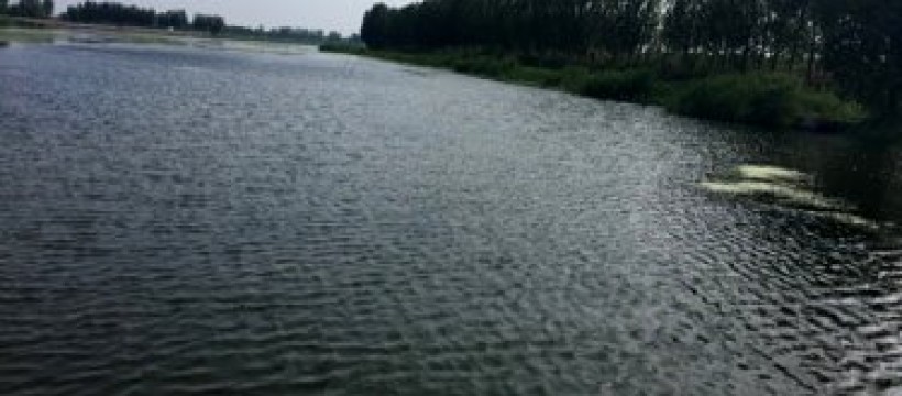 百米河照片