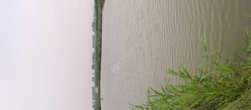 潘庄大桥照片
