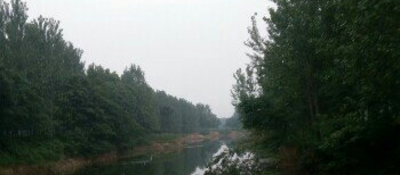 贾楼河照片