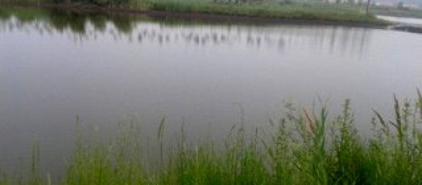 马三鱼池照片