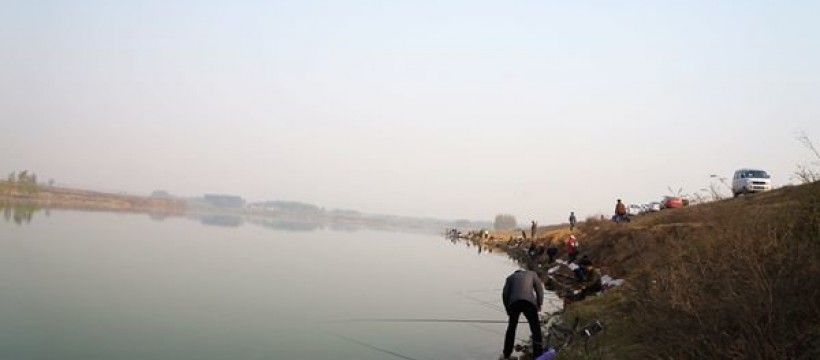 黄河退水摊照片