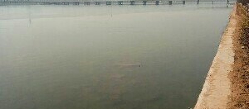 泗水泗河照片