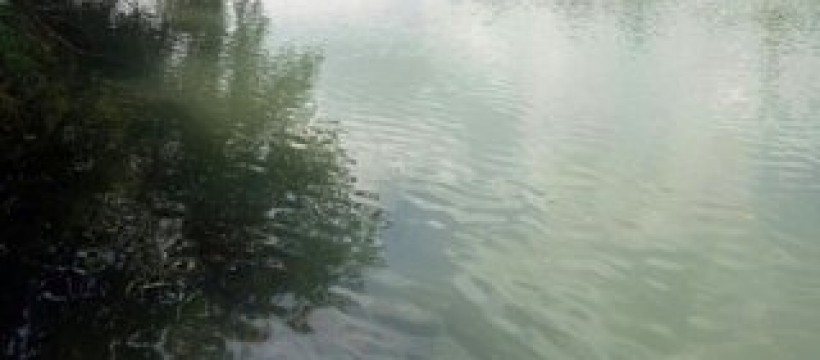 芦花河照片