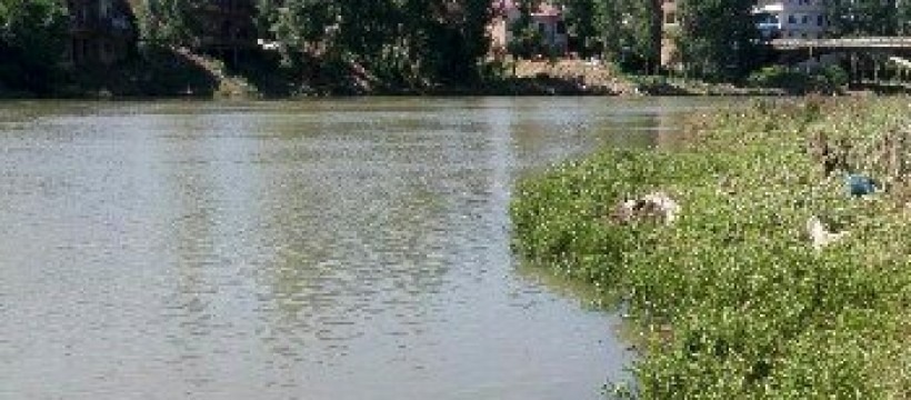 潼塘河照片