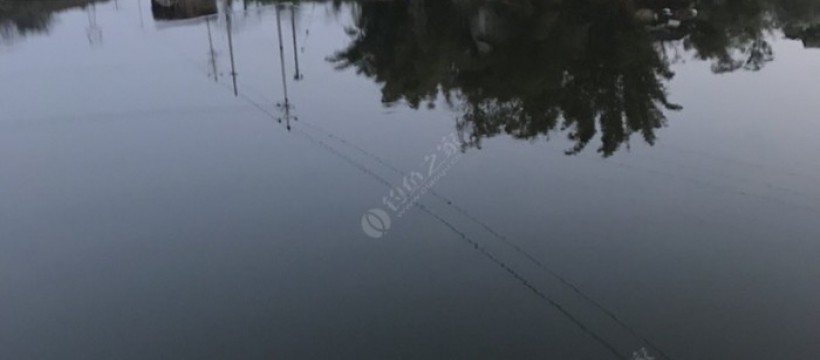 歌乐山野钓鱼场照片