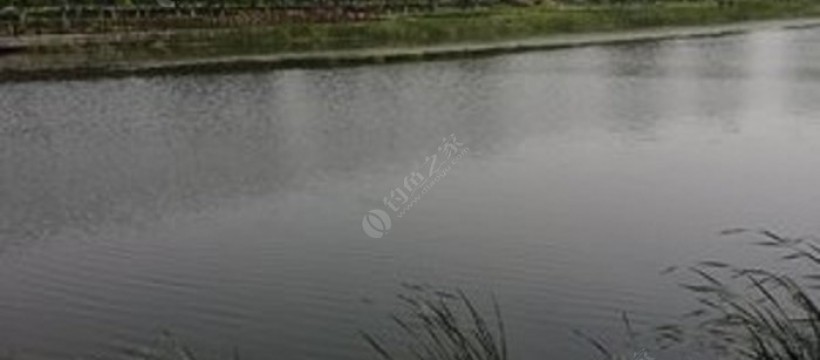 上塘河照片