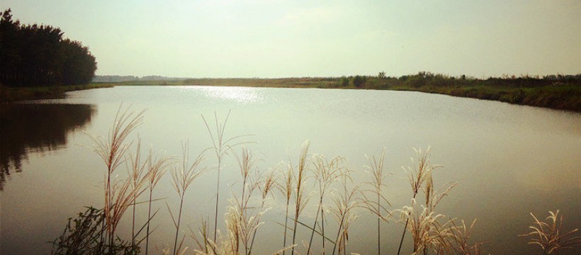 龙泉湖照片