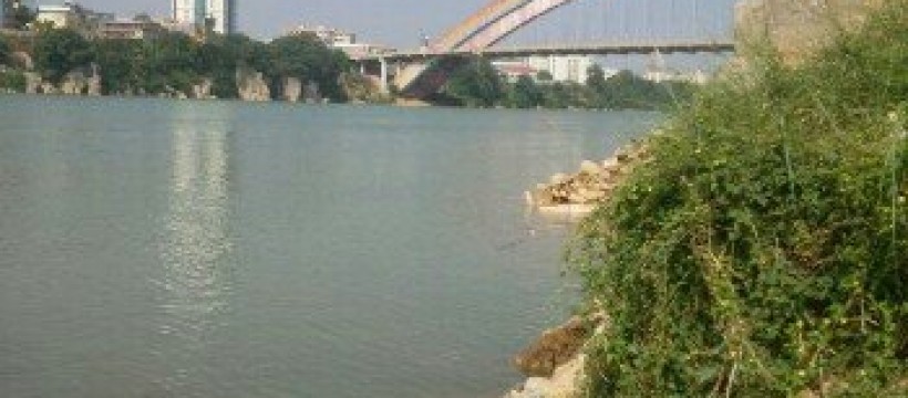 邕江蒲庙大桥照片