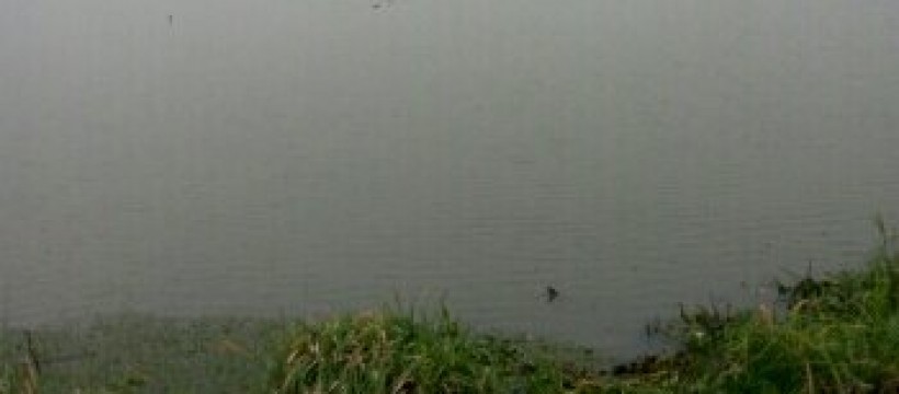 北阳湖照片