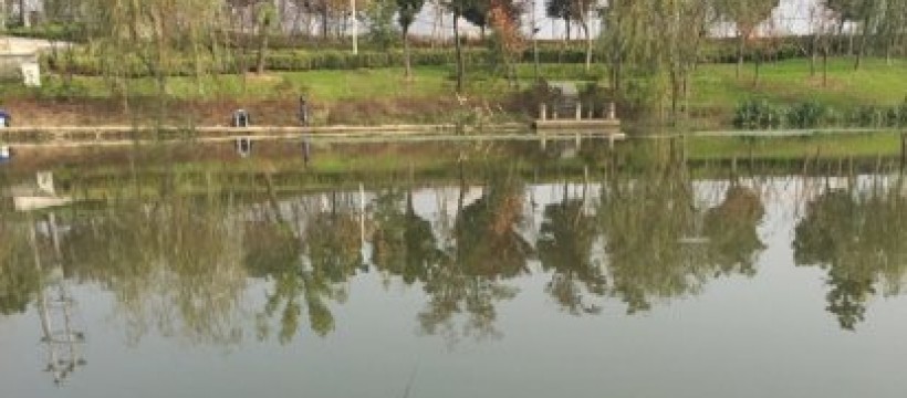 九里河照片