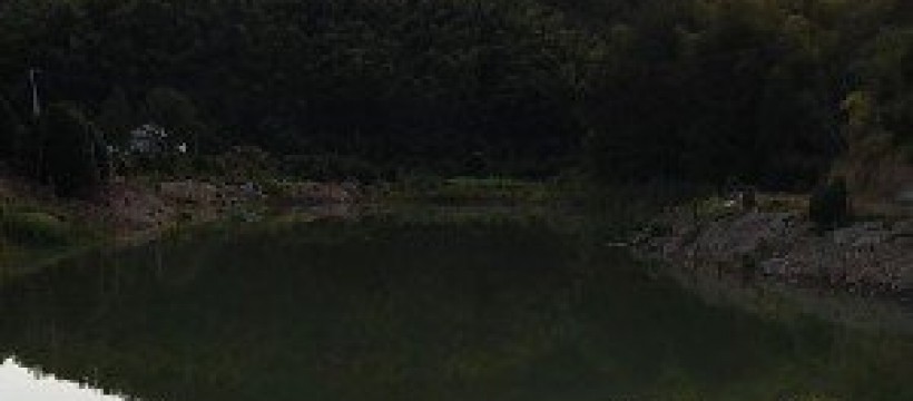 金塘垄钓场照片