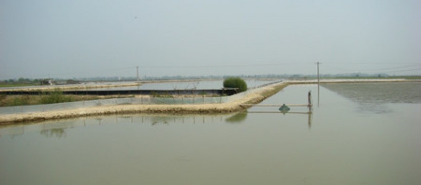 鲤塘水库照片