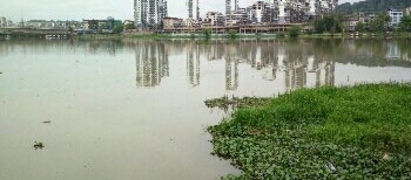 麻阳溪河照片