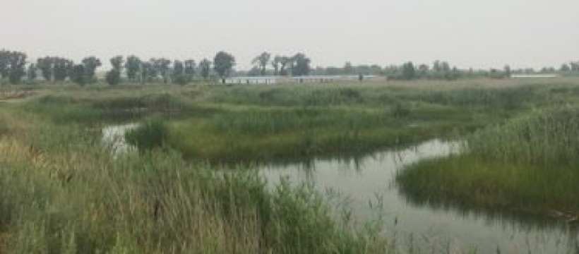 黄堡村河照片
