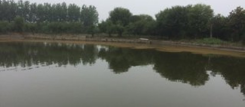 桂花园钓鱼场照片