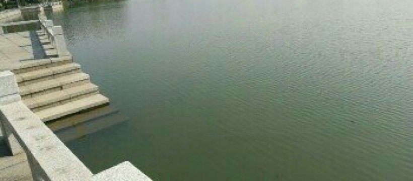 蚌蜓河照片