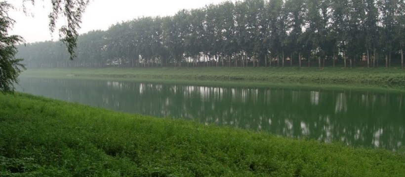 东海塘河照片