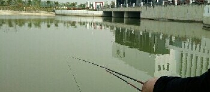京杭运河照片