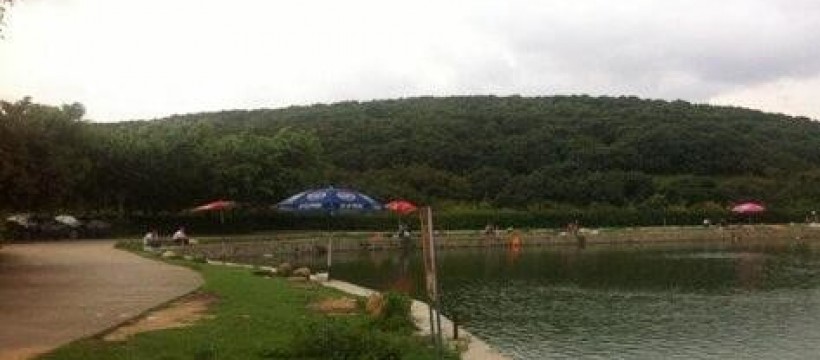 山湖荔枝果园照片