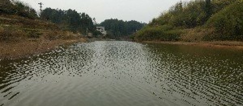 黎香湖照片