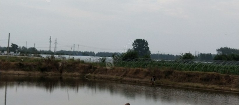 程峡钓鱼中心照片