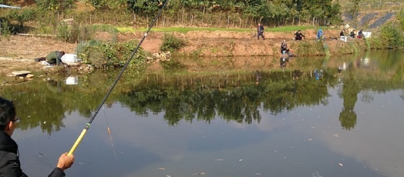 潘家沟生态鱼塘照片