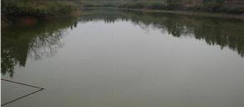 大溪垄水库照片