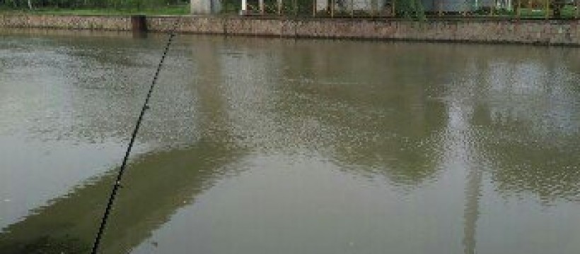 清塘河照片