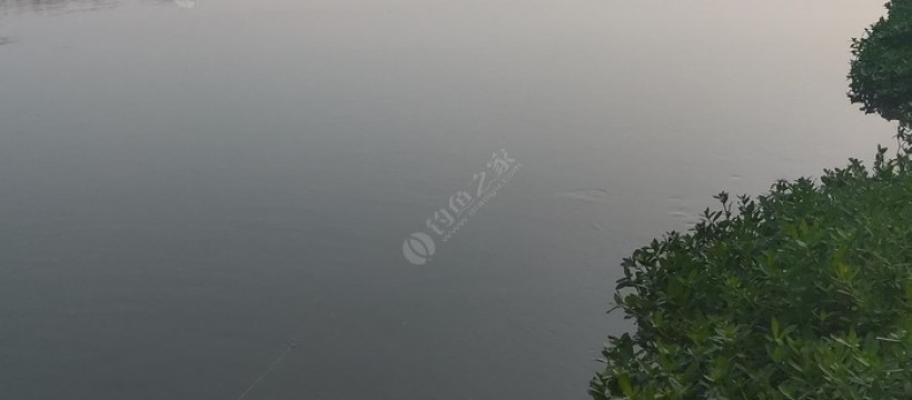 淮河照片