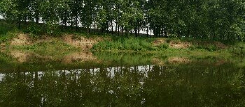 藕池河分支照片